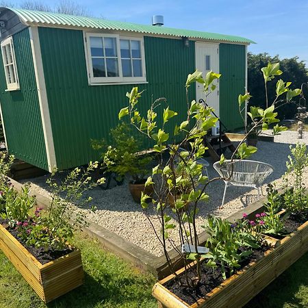 Toms Hut And Robins Rest Shepherd Huts Near Wadebridge Buitenkant foto