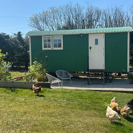 Toms Hut And Robins Rest Shepherd Huts Near Wadebridge Buitenkant foto