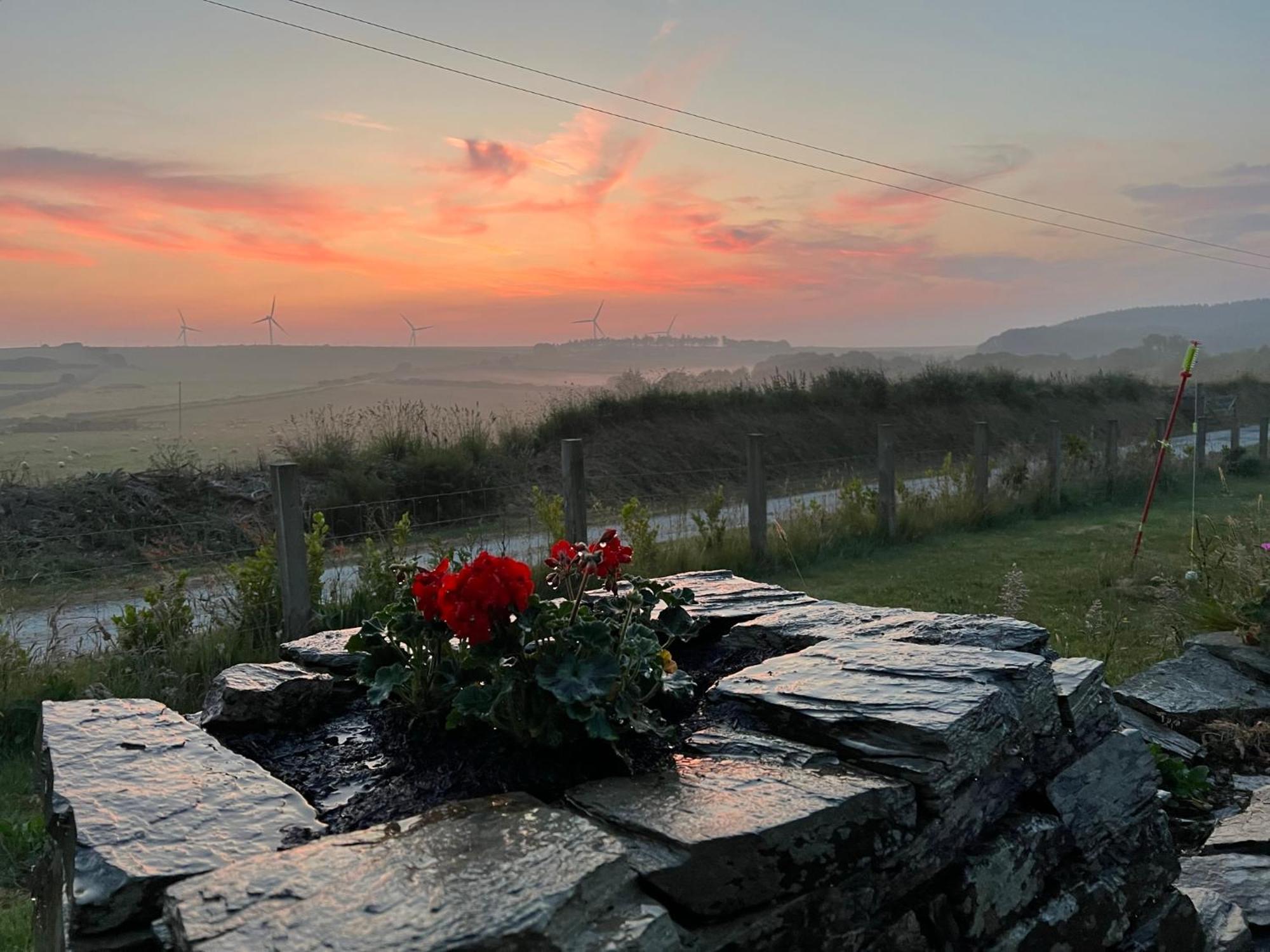 Toms Hut And Robins Rest Shepherd Huts Near Wadebridge Buitenkant foto