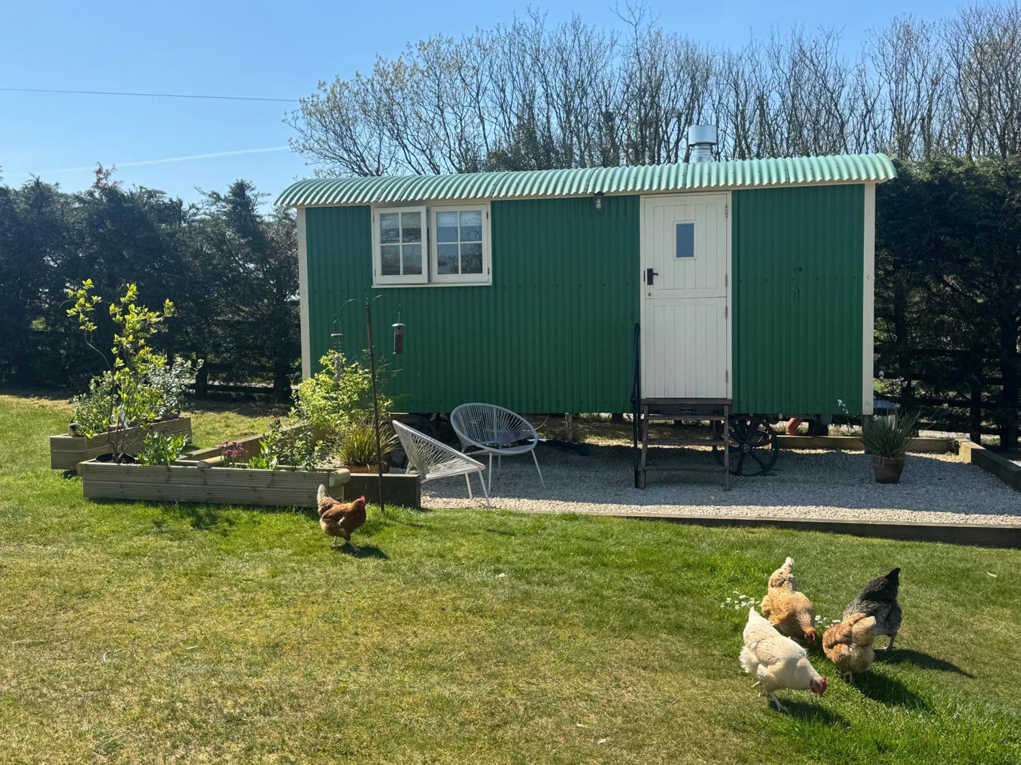 Toms Hut And Robins Rest Shepherd Huts Near Wadebridge Buitenkant foto